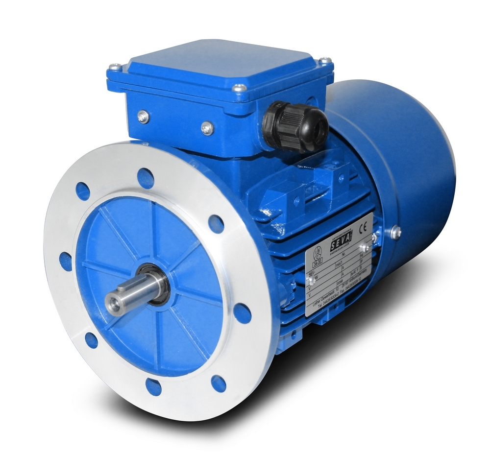 Brake Motors